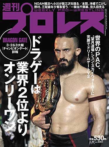四肢麻痺から1年8ヶ月で復帰するプロレスラーの凄さ 週刊プロレス 19年 03 号 No 01 総合職共働き人事コンサルのブログ