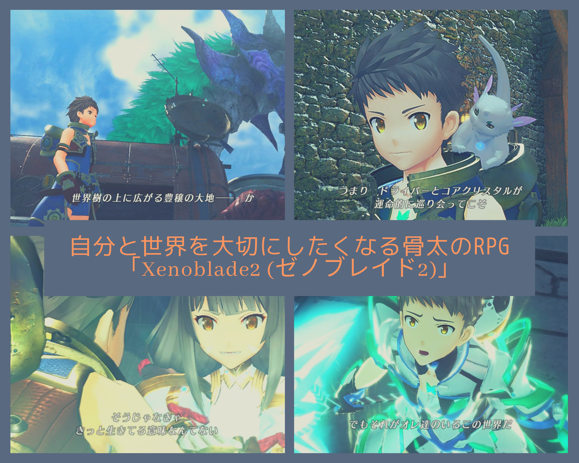 自分と世界を大切にしたくなる骨太のrpg Xenoblade2 ゼノブレイド2